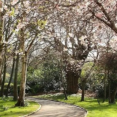 Otel Buswells Dublin